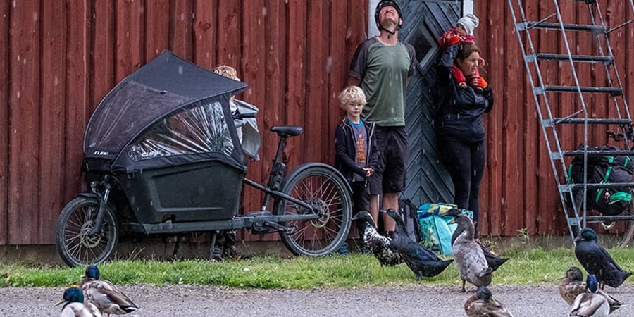 Radsport Lerf - Cargo bike, Lastenrad, Transportfahrrad