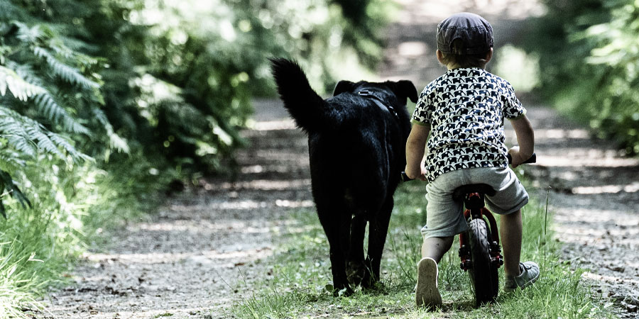 Radsport Lerf, Radsport - Kids - Kinder Fahrräder