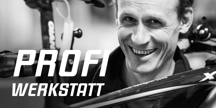 Radsport Lerf, Profi-Werkstatt, E-BIKE Service, Bike-Service